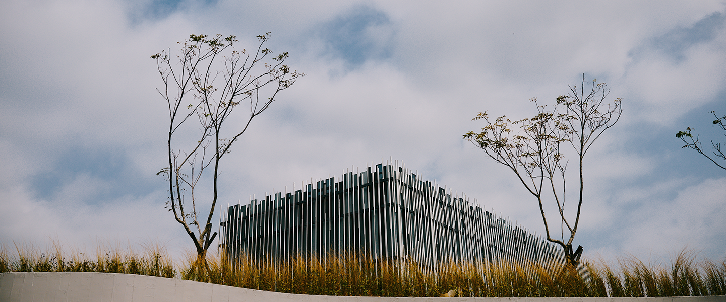 Discover the New Taipei City Art Museum Park!