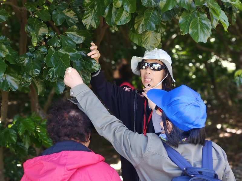 ⭓「公園裡有哪些好朋友?」園區動植物X作品導覽