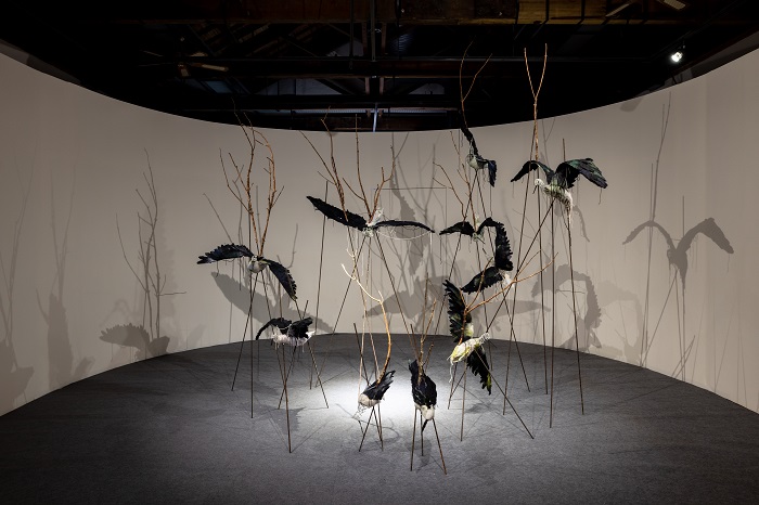 陳聖文《瓦憂瓦憂島-水鳥與紅樹林》