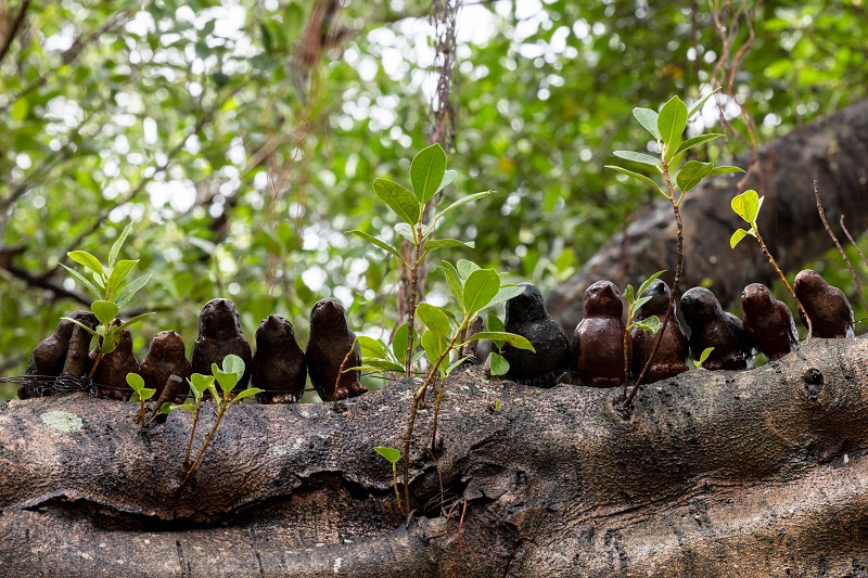 邱承宏《站在樹梢上的光》