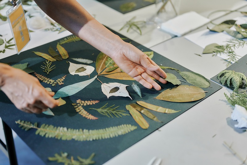 Between Mountains and Rivers